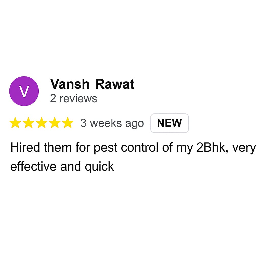 Client Review 1